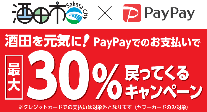 10月1日 12月31日 酒田市のpaypayキャンペーンが凄い 驚異の30 還元 丼ものは白米で決まる